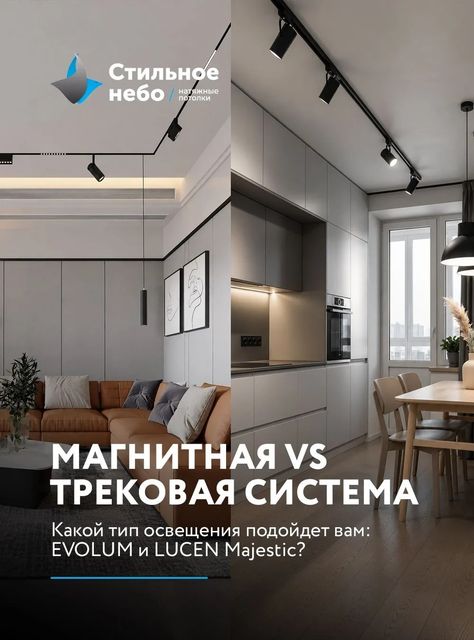 Магнитная или трековая система
